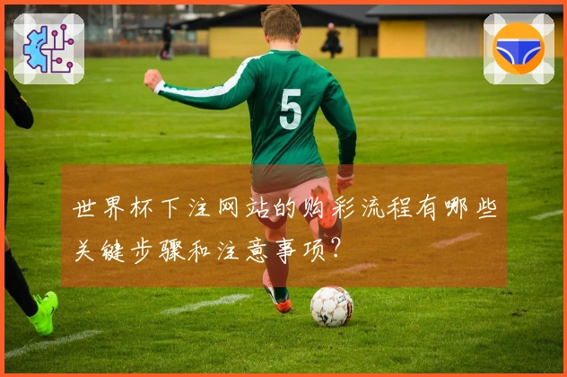 世界杯下注网站的购彩流程有哪些关键步骤和注意事项？
