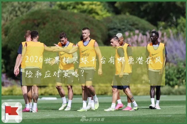 2026世界杯买球平台有哪些潜在风险和应对策略？