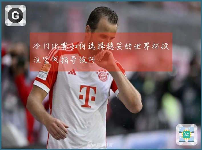 冷门比赛如何选择稳妥的世界杯投注官网指导技巧