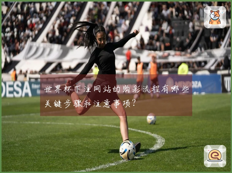 世界杯下注网站的购彩流程有哪些关键步骤和注意事项？